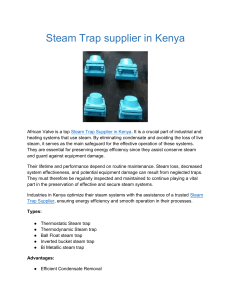 Steam Trap supplier in Kenya