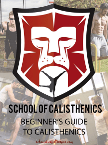 A Beginners Guide To Calisthenics