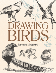 Drawing Birds ( PDFDrive )