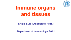 Immune organs and tissues20230307