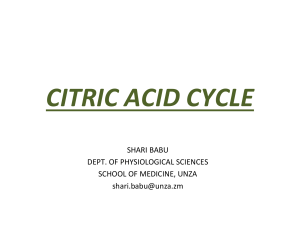 12. CITRIC ACID CYCLE-1