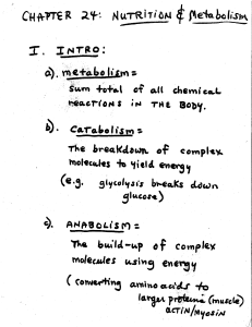 metabolism notes