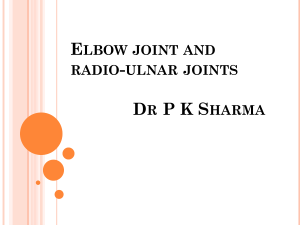 Elbow joint and radio-ulnar joints (1)