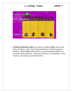 7-Biology -Project- Ciliated epithelial cells- L-5