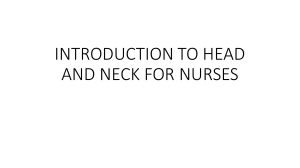 INTRODUCTION TO HEAD AND NECK FOR NURSES