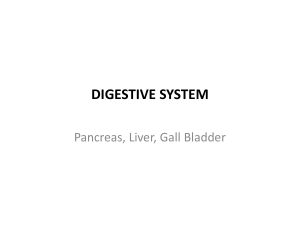 DIGESTIVE SYSTEM Pancreas, Liver, Gall bladder
