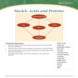 silo.tips nucleic-acids-and-proteins