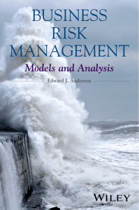Business Risk Management Models and Analysis -Edward J. Anderson