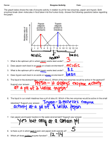 Enzyme Activity Worksheet Answers