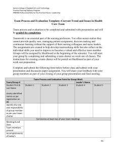 TEAM PROCESS AND EVALUATION TEMPLATE DOC