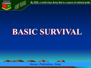 BASIC-SURVIVAL