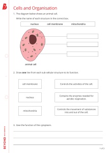 Cells and Organisation Worksheet SEND