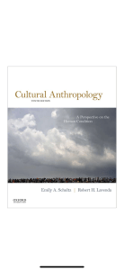 Cultural Anthropology 10th Edition Schultz