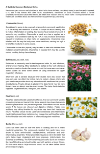 A Guide to Common Medicinal Herbs