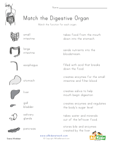 match-digestive-organ-worksheet