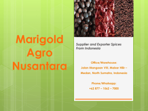 Marigold Agro Nusantara