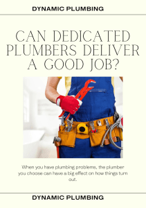 Can dedicated plumbers deliver a good jobPDF