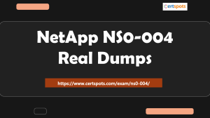 NetApp Technology Solutions (NS0-004) Real Dumps