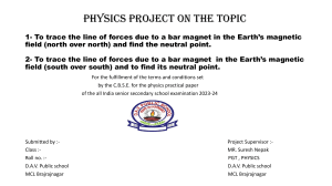 Physics project on the topic