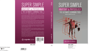 Super Simple Anatomy & Physiology - The Ultimate Learning Tool - Making Learning Fun & Easy
