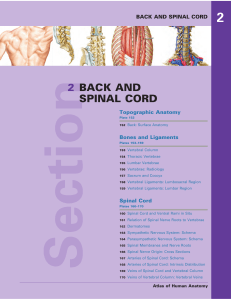 Atlas of Back and Spinal Cord
