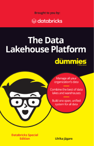 The-Data-Lakehouse-Platform-For-Dummies-1