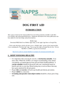 Dog First Aid Introduction 