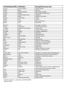 Word-parts conference outline.template.student