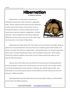 3rd-hibernation
