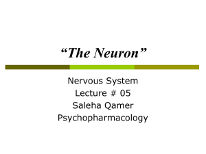 The-Neuron