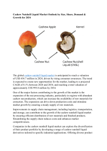Cashew Nutshell Liquid Market Outlook by Size, Share, Demand & Growth for 2034