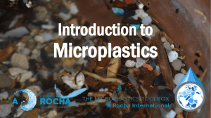 Introduction-to-microplastics-v1.1