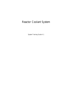 Reactor Coolant System