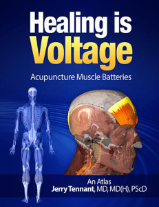 Healing is Voltage  Acupuncture Muscle Batteries  An Atlas
