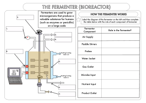 Fermenter Worksheet