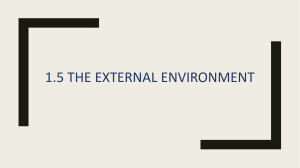 1.5 The external environment 
