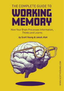 The Complete Guide to Working Memory