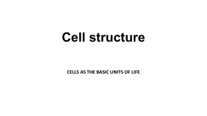 GRADE 9 NATURAL SCIENCES TERM 1 CELLS THE BASIC UNITS OF LIFE 2024