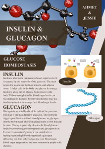 Insulin & Glucagon -  Ahmet and Jessie