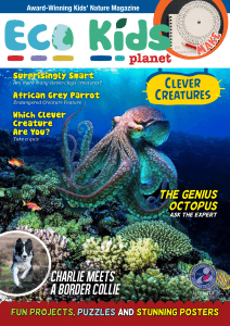 Eco Kids Planet Magazine - Issue 113, March 2024