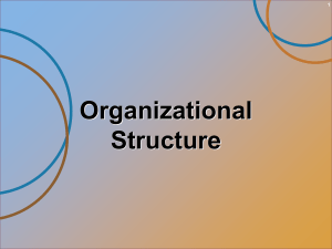 2.2 Organizational Structure