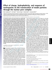 effect-of-charge-hydrophobicity-and-sequence-of-nucleoporins-on-the-translocation-of-model-particles-through-the-nuclear-pore-complex