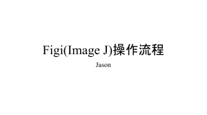Figi(Image J)操作流程