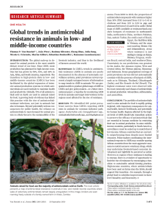 2019 Global trends in AMR in animals in LMICs Boeckel et al