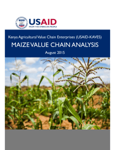 Maize Value Chain USAID