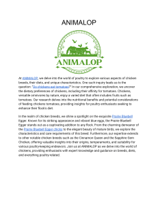 ANIMALOP - At AnimalOp, we delve into the world of poultry to explore various aspects of chicken breeds, their diets, and unique characteristics. 