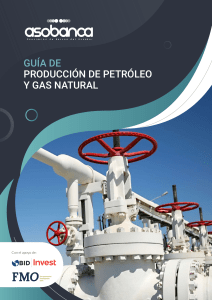 14.-Guia-Produccion-de-petroleo-y-gas-natural