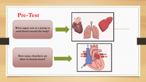 Week 2 Day 1 - heart ppt-2