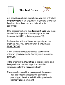 Bony - Lesson 12 The Test Cross