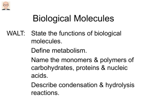 01-pu94-biological-molecules-introduction-pdf-1
